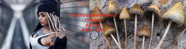 метадон Пестово