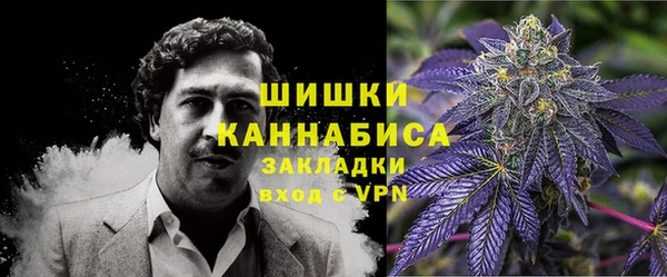 spice Белокуриха