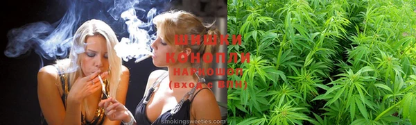 spice Белокуриха