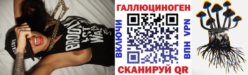 Псилоцибиновые грибы MAGIC MUSHROOMS  где купить наркоту  Реутов 