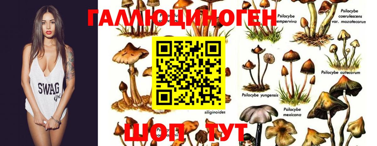 Галлюциногенные грибы Magic Shrooms Реутов